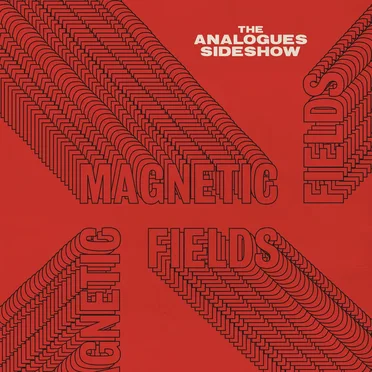 Magnetic Fields