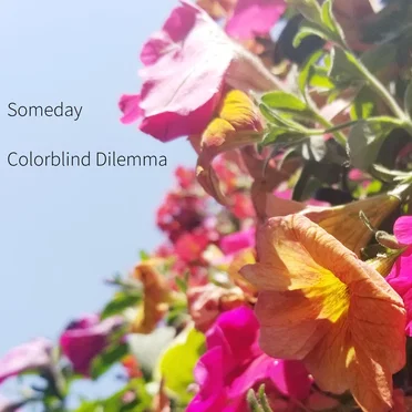 Someday/Place for the Lonely