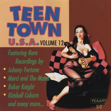 Teen Town USA, Volume 12 by Various Artists - album cover
