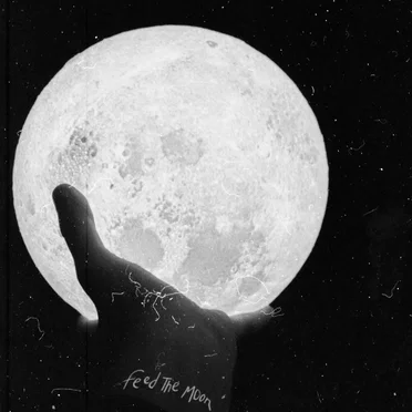 Feed the Moon by Yard of Blondes - album cover