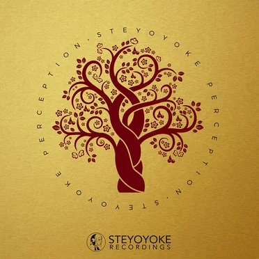 Steyoyoke Perception, Vol. 03 by Various Artists - album cover