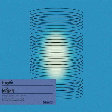 fragile Report by Nikoん - album cover