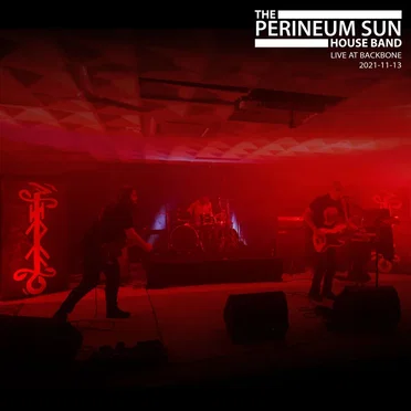 Live at Backbone 2021-11-13 by The Perineum Sun House Band - album cover