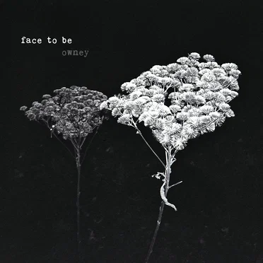 Face To Be by Owney The Postal Dog - album cover