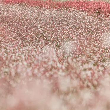그럼에도 말해줘야지, 사랑이라고