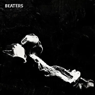 Fishage by Beaters - album cover