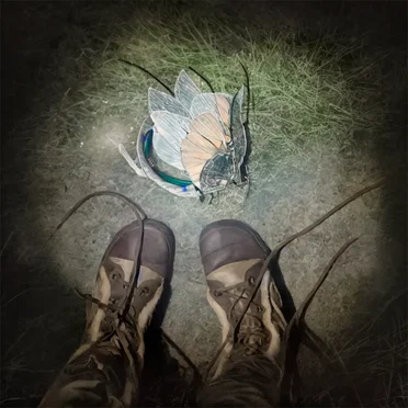 CMYL by tau contrib - album cover