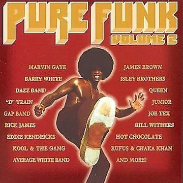 Pure Funk, Volume 2 by Various Artists - album cover