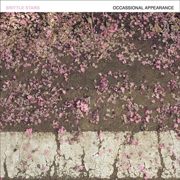 Occasional Appearance