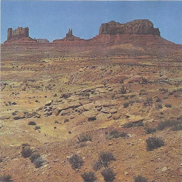 The Occasion by The Occasion - album cover