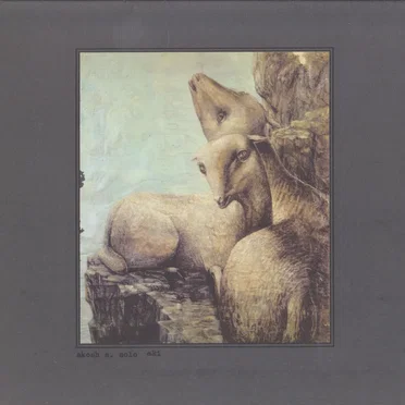 Aki by Akosh Szelevényi - album cover