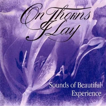 Sounds of Beautiful Experience