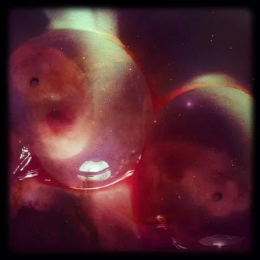 Embryonic by TRIPTOCAINE - album cover