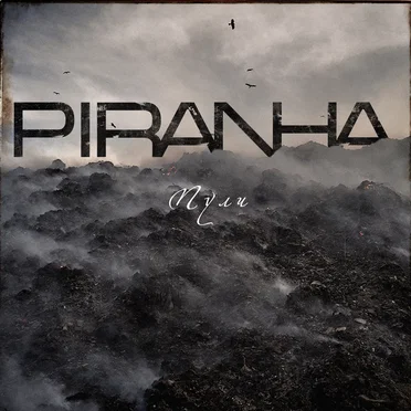 Пули by PIRANHA - album cover