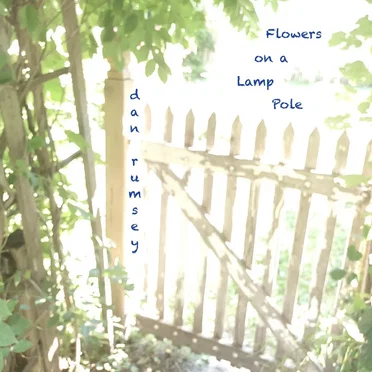 Flowers on a Lamp Pole by Dan Rumsey - album cover