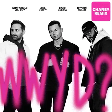 What Would You Do? (CHANEY remix)