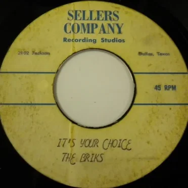 I'm Losing / It's Your Choice by The Briks - album cover