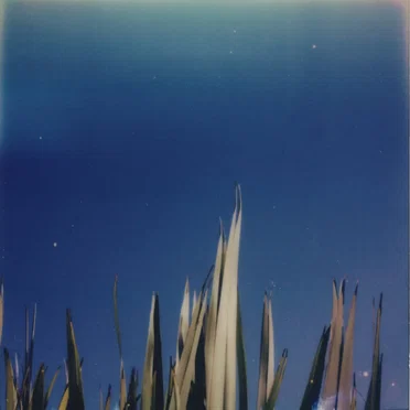 You Lose Yourself, and That's OK