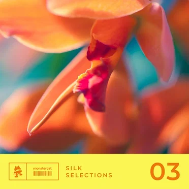 Silk Selections 03 by Various Artists - album cover