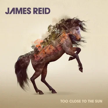 Too Close to the Sun by James Reid - album cover