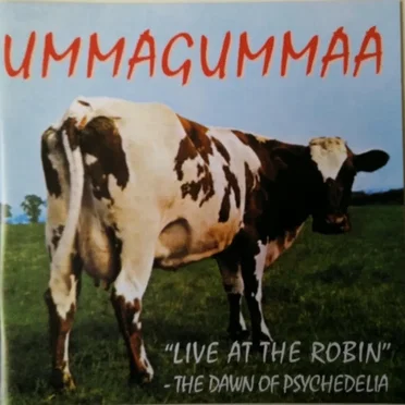 "Live at the Robin" - The Dawn of Psychedelia