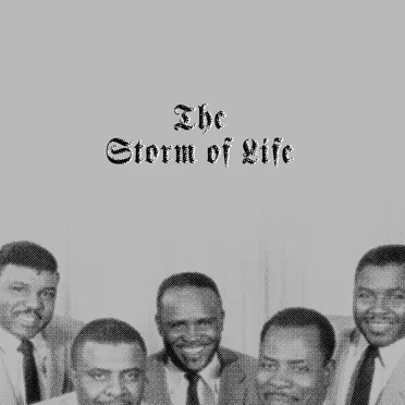 The Storm of Life by Various Artists - album cover