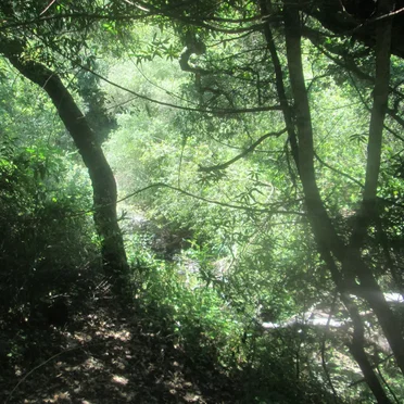 Hayward (Father's Day, 2019)