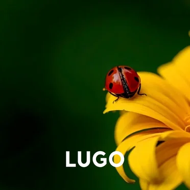 Smooth Lady by Lugo - album cover