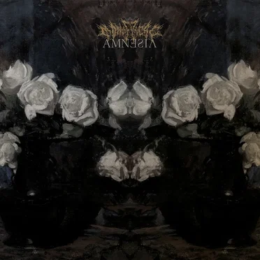 Amnesia
