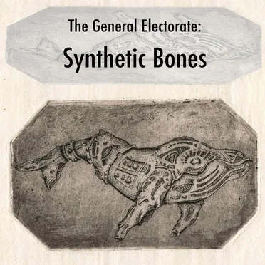 Synthetic Bones by The General Electorate - album cover