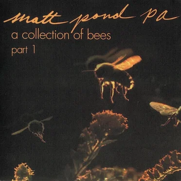A Collection of Bees, Part 1