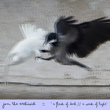 A Flash of Dark // A Wash of Light