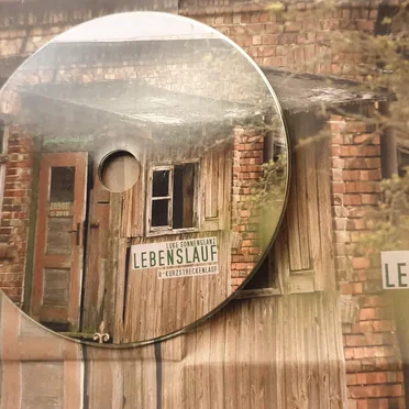 lebenslauf (auszug) by Luke Sonnenglanz - album cover