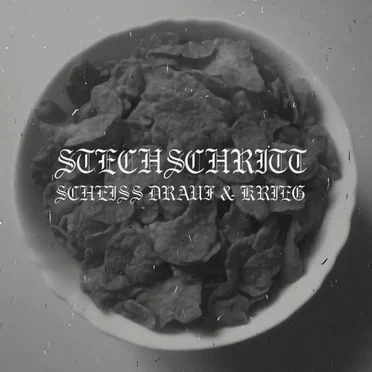 Scheiss drauf / Krieg by Stechschritt - album cover