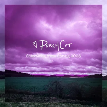 Selections from Spring 2025 by Porch Cat - album cover