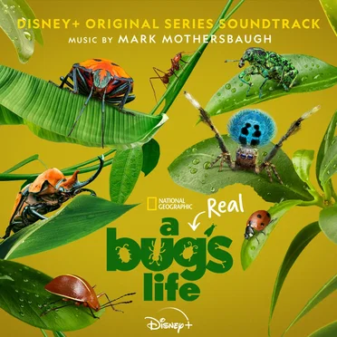 A Real Bug’s Life (Original Series Soundtrack)