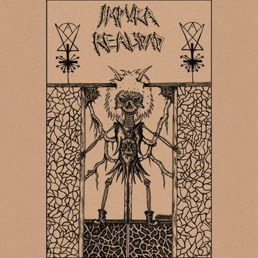 Seguimos Vomitando by Impura Realidad - album cover