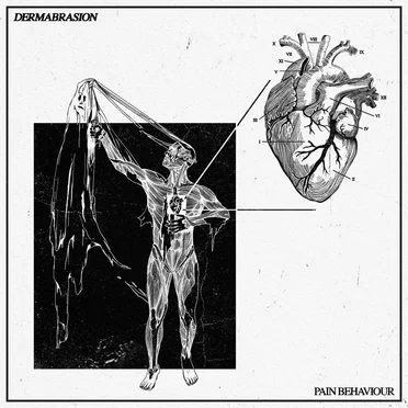 Pain Behaviour by Dermabrasion - album cover