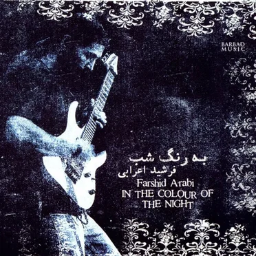 In The Colour of The Night