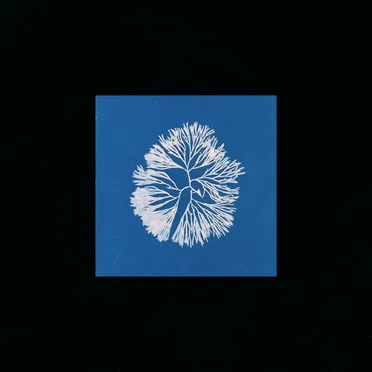 Silk Noise Reflex by James Tillman - album cover
