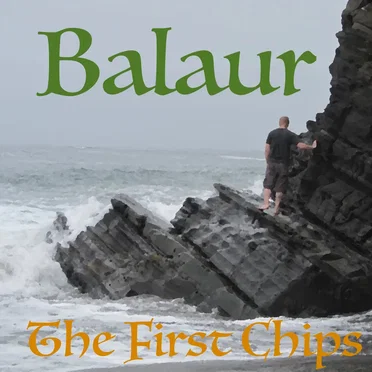 The First Chips