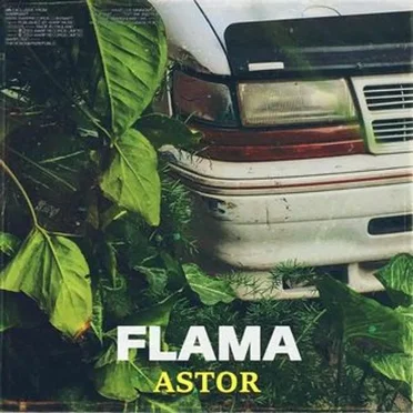 Flama by Astor y las Flores de Marte - album cover