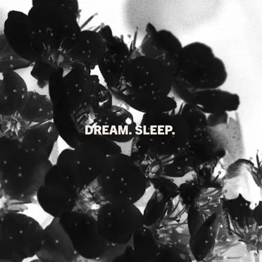 Dream. Sleep. by Laveda - album cover