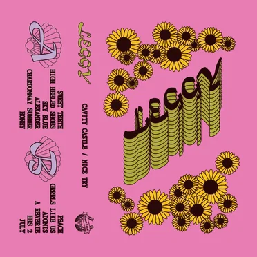 Cavity Castle / Nice Try EP