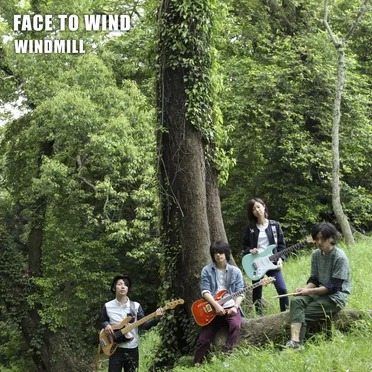 FACE TO WIND by Windmill - album cover
