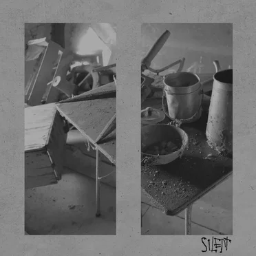 SILENT by Like Pigs on Embers - album cover