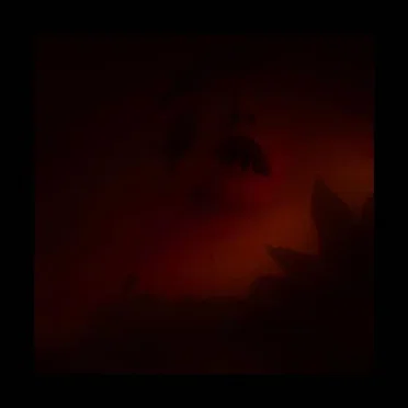 THE NETHERWXRLD