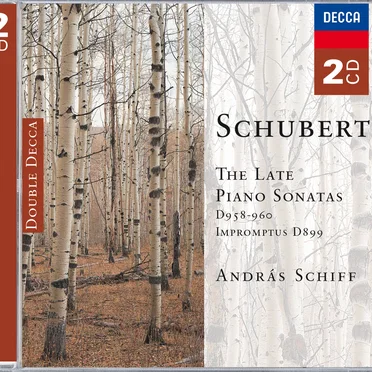 The Late Piano Sonatas