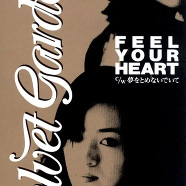 Feel Your Heart by ベルベット・ガーデン - album cover