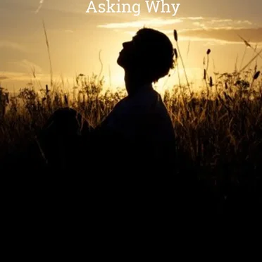 Asking Why